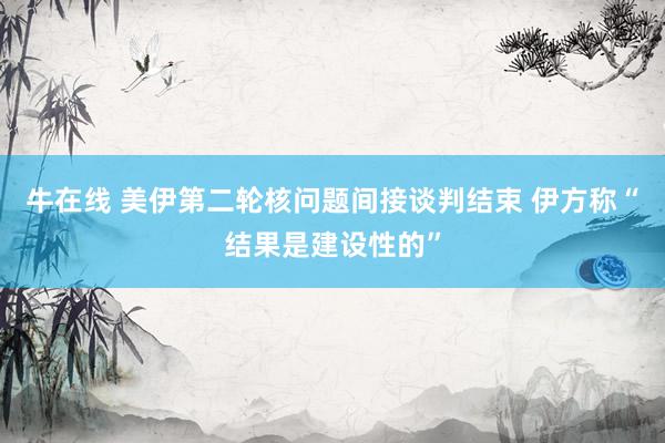 牛在线 美伊第二轮核问题间接谈判结束 伊方称“结果是建设性的”