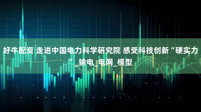 好牛配资 走进中国电力科学研究院 感受科技创新“硬实力”_输电_电网_模型