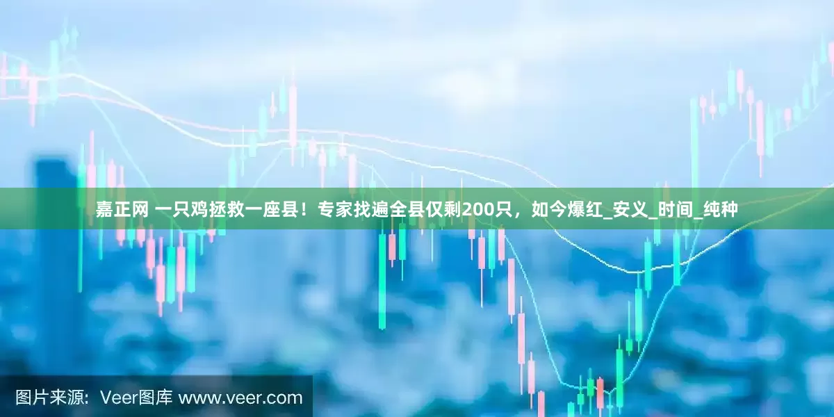 嘉正网 一只鸡拯救一座县！专家找遍全县仅剩200只，如今爆红_安义_时间_纯种