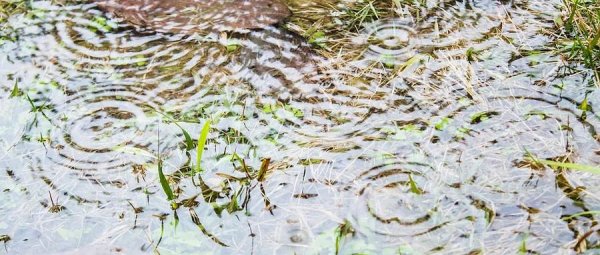 闻喜 为什么降雨后蚊子会增多？3招速防叮咬