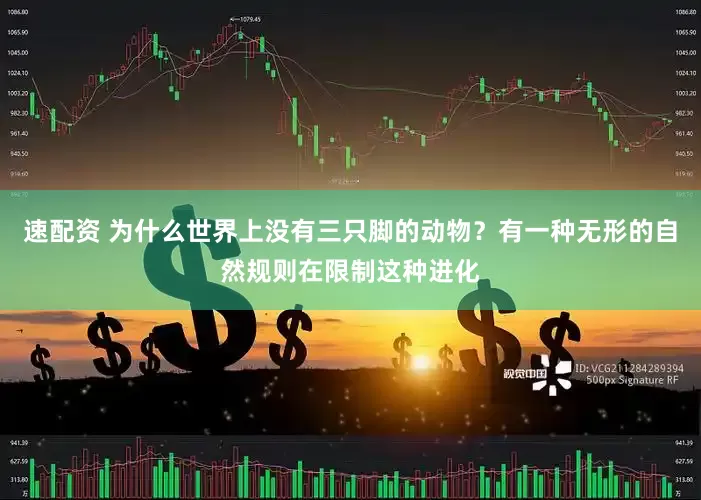 速配资 为什么世界上没有三只脚的动物？有一种无形的自然规则在限制这种进化